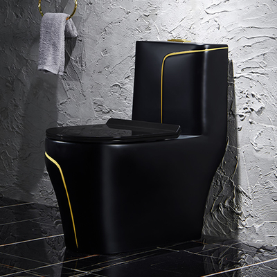 Schwarze Toiletten-Druckdose, die gesundheitliche Waren-Toilette spült