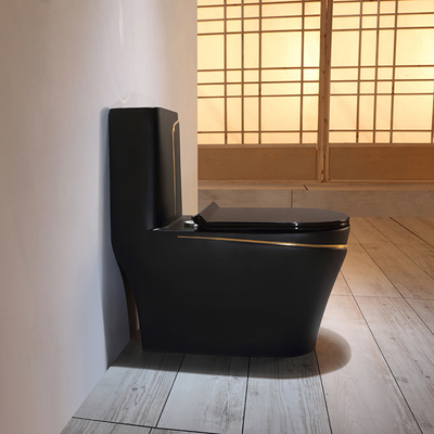 Schwarze Toiletten-Druckdose, die gesundheitliche Waren-Toilette spült