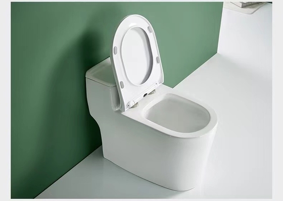 Einteiliger ebener gesundheitlicher Waren-Toiletten-Verdoppelungboden - brachte Entwurf 3D an