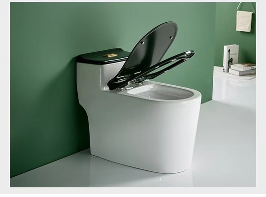 Einteiliger ebener gesundheitlicher Waren-Toiletten-Verdoppelungboden - brachte Entwurf 3D an