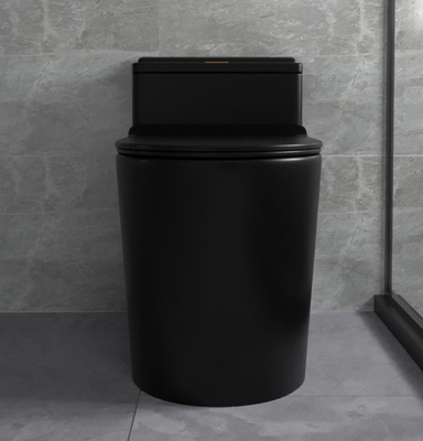 Druckdose, die Matte Black Toilet One Piece-Badezimmer-keramische Sätze spült