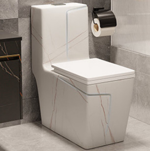 Druckdosen-Spülungsboden - brachte schwarzen weißen Blockierhotel-Entwurf der Toiletten-S an