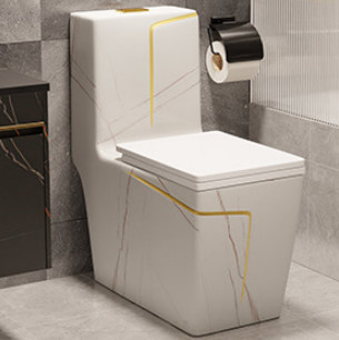 Druckdosen-Spülungsboden - brachte schwarzen weißen Blockierhotel-Entwurf der Toiletten-S an