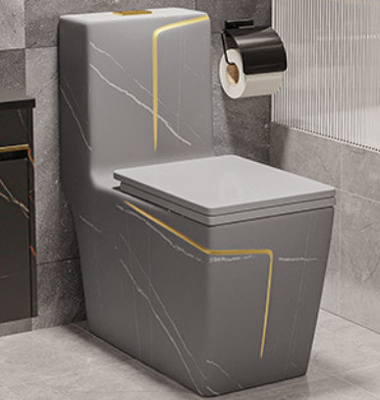 Druckdosen-Spülungsboden - brachte schwarzen weißen Blockierhotel-Entwurf der Toiletten-S an