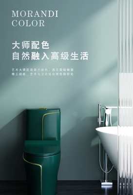 gesundheitliche Toilette der Waren-6L