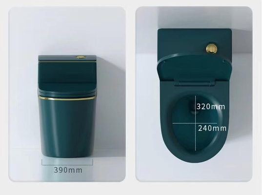 Keramischer einteiliger Spültoilette-bunter Wassersparen-Behälter Siphonic