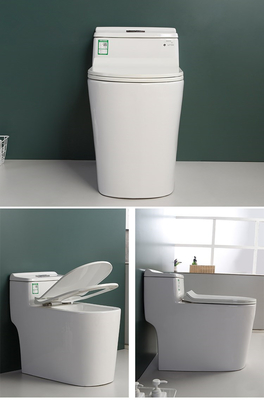 S-Blockiereinteilige Stuhl-Höhen-Toiletten-ebene Verdoppelungmischung Pit Spacing 220mm