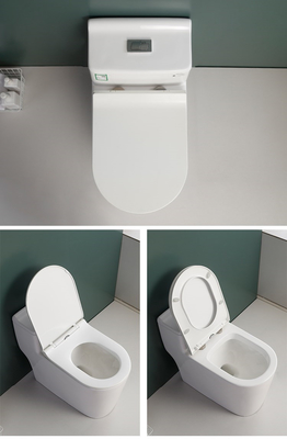 S-Blockiereinteilige Stuhl-Höhen-Toiletten-ebene Verdoppelungmischung Pit Spacing 220mm