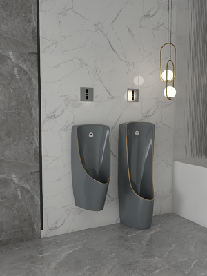 Einteiler zurück bohren an der Wand befestigte Toiletten-Schüssel Grey Gold Color
