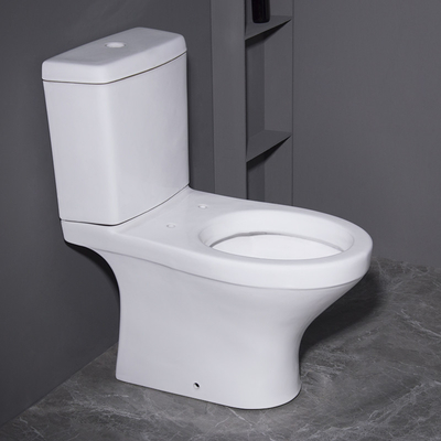 Ganzwäsche-Boden - angebrachtes zweiteiliges Modell Graphic Desgin der Toiletten-3D