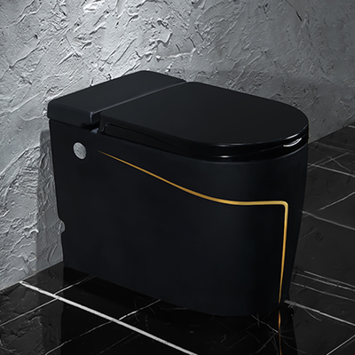 Einteilige schwarze intelligente intelligente Toiletten-gesundheitliche Waren 615*360*455mm