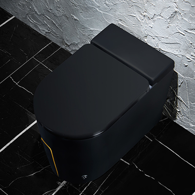 Einteilige schwarze intelligente intelligente Toiletten-gesundheitliche Waren 615*360*455mm