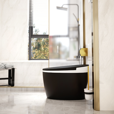 Seat, das Siphonic-Badezimmer-Bidet Toilette 3L 6L Smart intelligentes erhitzt