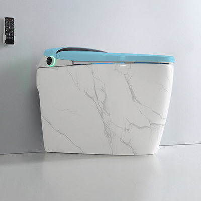 Einteilige Badezimmer-Toiletten-Mischung Pit Spacing Siphonic intelligente 300mm